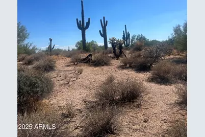 33505 N 55th Street #-, Cave Creek, AZ 85331 - Photo 1