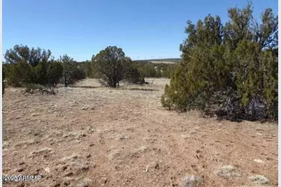 Sec 13 T14N, R16E:e2 Nw4 Se4 -- #'-', Heber, AZ 85928 - Photo 3