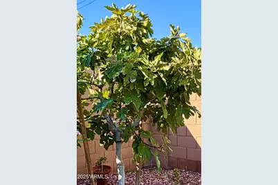 6702 E Monte Vista Road, Scottsdale, AZ 85257 - Photo 29