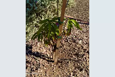 6702 E Monte Vista Road, Scottsdale, AZ 85257 - Photo 33