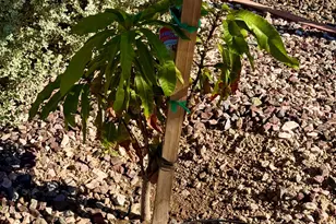 6702 E Monte Vista Rd, Scottsdale, AZ 85257 - Photo 33