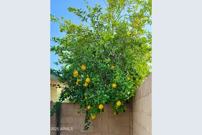 6702 E Monte Vista Road, Scottsdale, AZ 85257 - Photo 31