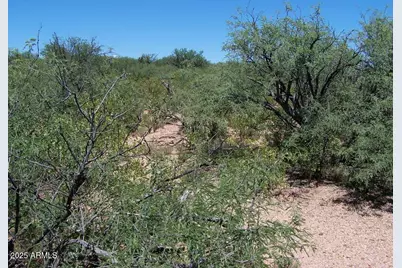 Tbd E Lincoln Road #-, Huachuca City, AZ 85616 - Photo 7