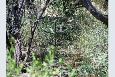 Tbd E Lincoln Road #-, Huachuca City, AZ 85616 - Photo 15