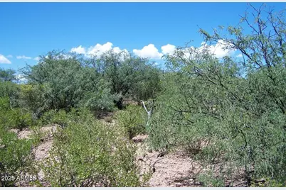 Tbd E Lincoln Road #-, Huachuca City, AZ 85616 - Photo 9