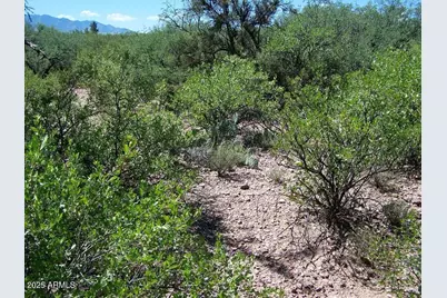 Tbd E Lincoln Road #-, Huachuca City, AZ 85616 - Photo 17