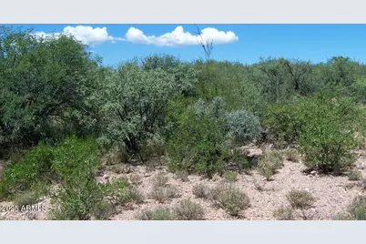 Tbd E Lincoln Road #-, Huachuca City, AZ 85616 - Photo 13