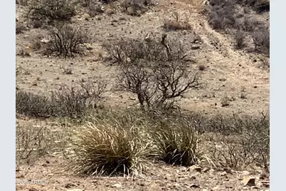38.00Ac E Love Lane #53, Willcox, AZ 85643 - Photo 9