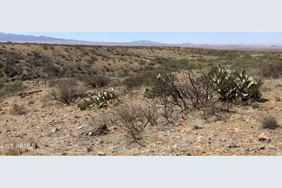 38.00Ac E Love Lane #53, Willcox, AZ 85643 - Photo 15