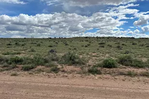 Tbd 40 Acres Carrizo Ranch --, Saint Johns, AZ 85936 - Photo 1