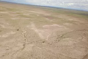 49 County Rd N6160 --, Saint Johns, AZ 85936 - Photo 1