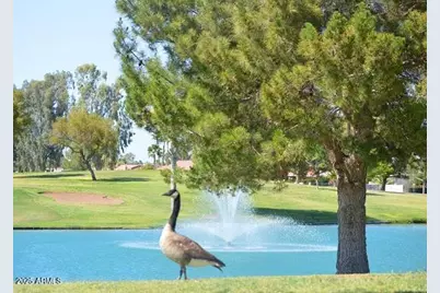 9576 E Fairway Boulevard, Sun Lakes, AZ 85248 - Photo 49
