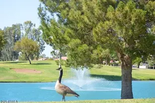 9576 E Fairway Blvd, Sun Lakes, AZ 85248 - Photo 49