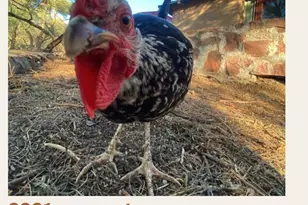 89395 E Aravaipa Rd, Winkelman, AZ 85192 - Photo 67