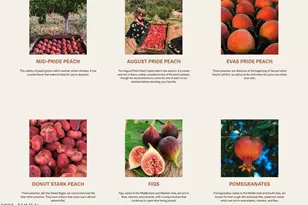 89395 E Aravaipa Rd, Winkelman, AZ 85192 - Photo 71