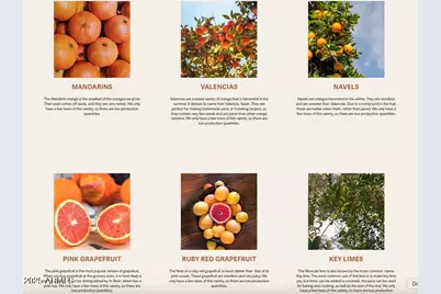 89395 E Aravaipa Road, Winkelman, AZ 85192 - Photo 69