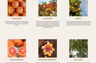 89395 E Aravaipa Rd, Winkelman, AZ 85192 - Photo 69