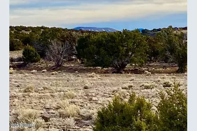 Tbd Co Rd 5201 1.22 Acres -- #-, Concho, AZ 85924 - Photo 1