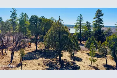 5661 Cougar Drive, Happy Jack, AZ 86024 - Photo 29