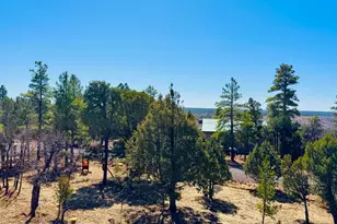 5661 Cougar Dr, Happy Jack, AZ 86024 - Photo 29