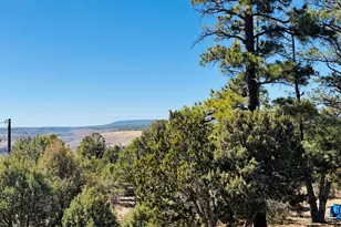 5661 Cougar Dr, Happy Jack, AZ 86024 - Photo 27