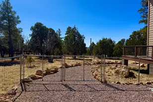 5661 Cougar Dr, Happy Jack, AZ 86024 - Photo 51