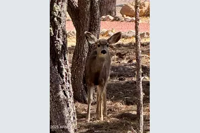 5661 Cougar Drive, Happy Jack, AZ 86024 - Photo 49
