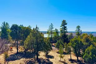 5661 Cougar Dr, Happy Jack, AZ 86024 - Photo 35