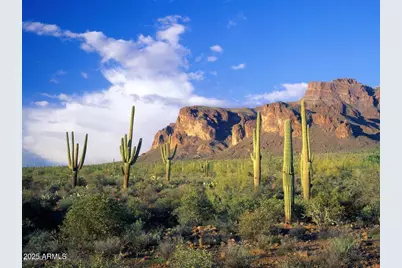 2669 S Southfork Ranch Road, Gold Canyon, AZ 85118 - Photo 5