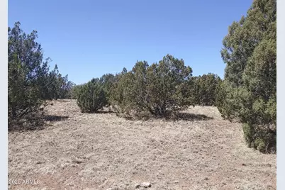 8111 Well Road #-, Show Low, AZ 85901 - Photo 11