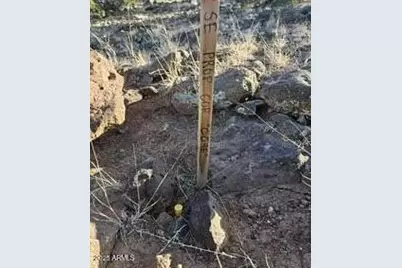 8111 Well Road #-, Show Low, AZ 85901 - Photo 7