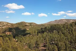 23659 S Sunny South Rd, Crown King, AZ 86343 - Photo 21