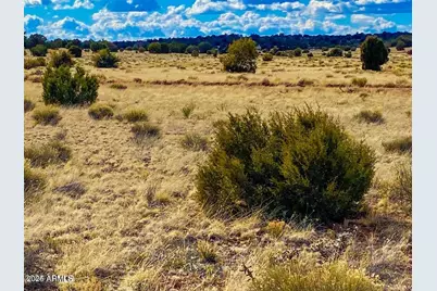 Tbd Hyde Park Rd 10 Acres -- #-, Seligman, AZ 86337 - Photo 1