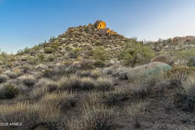 27268 N 102nd Street #273, Scottsdale, AZ 85262 - Photo 9