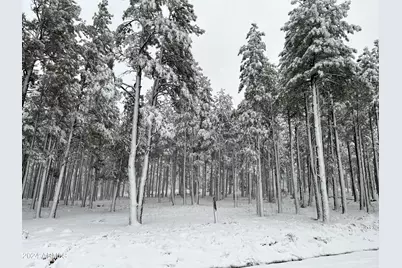 9586 Sierra Springs Way #7, Pinetop, AZ 85935 - Photo 1