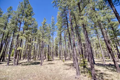 9586 Sierra Springs Way #7, Pinetop, AZ 85935 - Photo 5