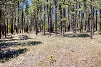 9586 Sierra Springs Way #7, Pinetop, AZ 85935 - Photo 7