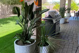 9458 E Desert Cove Ave, Scottsdale, AZ 85260 - Photo 3