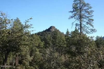 3103 S Monument Peak -- #168, Payson, AZ 85541 - Photo 3