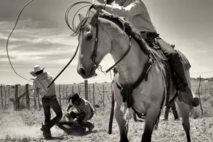 X Saguaro Hill Rd, Congress, AZ 85332 - Photo 1