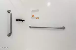 7117 N Sarival Ave, Litchfield Park, AZ 85340 - Photo 47