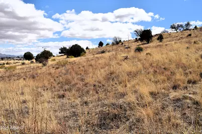 Lot 009P S One More Road -- #-, Hereford, AZ 85615 - Photo 5