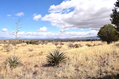 Lot 009P S One More Road -- #-, Hereford, AZ 85615 - Photo 3