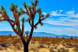Tbd Apex 1 07 Acres Rd, Yucca, AZ 86438 - Photo 1