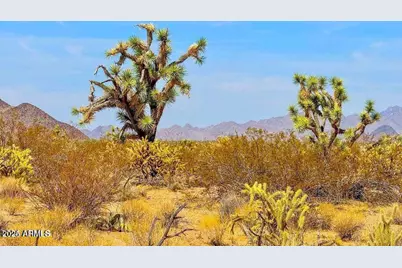 Tbd Apex  1.07 Acres Road #-, Yucca, AZ 86438 - Photo 5