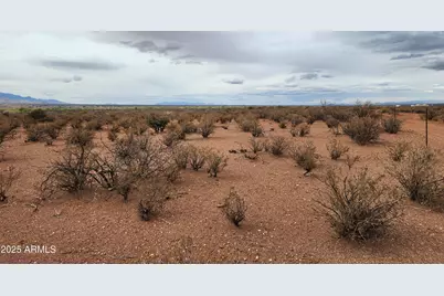Lot 50 Calle Gavilan -- #50, Hereford, AZ 85615 - Photo 3