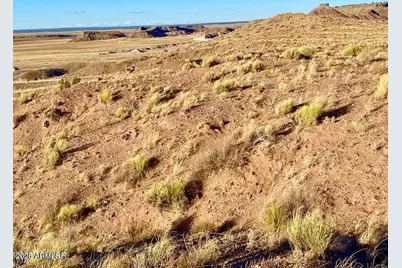 Carrizo Ranch Lot 297 41.17 Acres -- #-, Concho, AZ 85924 - Photo 9