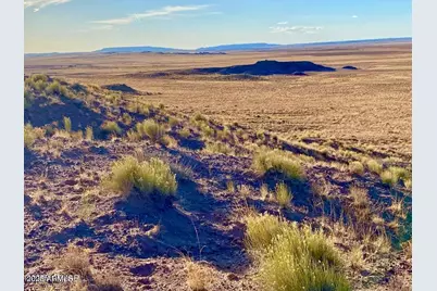 Carrizo Ranch Lot 297 41.17 Acres -- #-, Concho, AZ 85924 - Photo 1