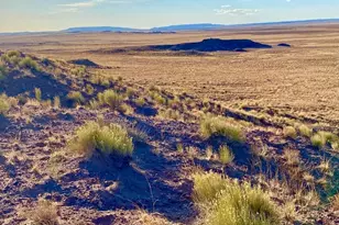 Carrizo Ranch Lot 297 41 17 Acres --, Concho, AZ 85924 - Photo 1