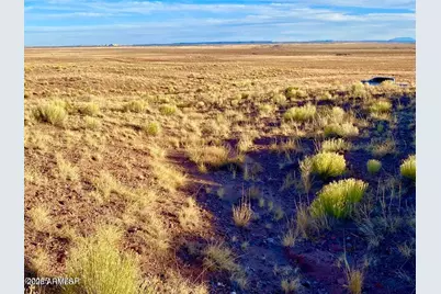 Carrizo Ranch Lot 297 41.17 Acres -- #-, Concho, AZ 85924 - Photo 15